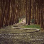 Florence-Drean-Voeux-2018-