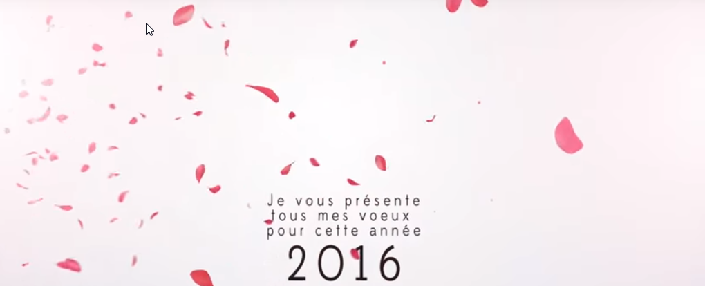 Carte de voeux Florence Drean 2016-Lyon