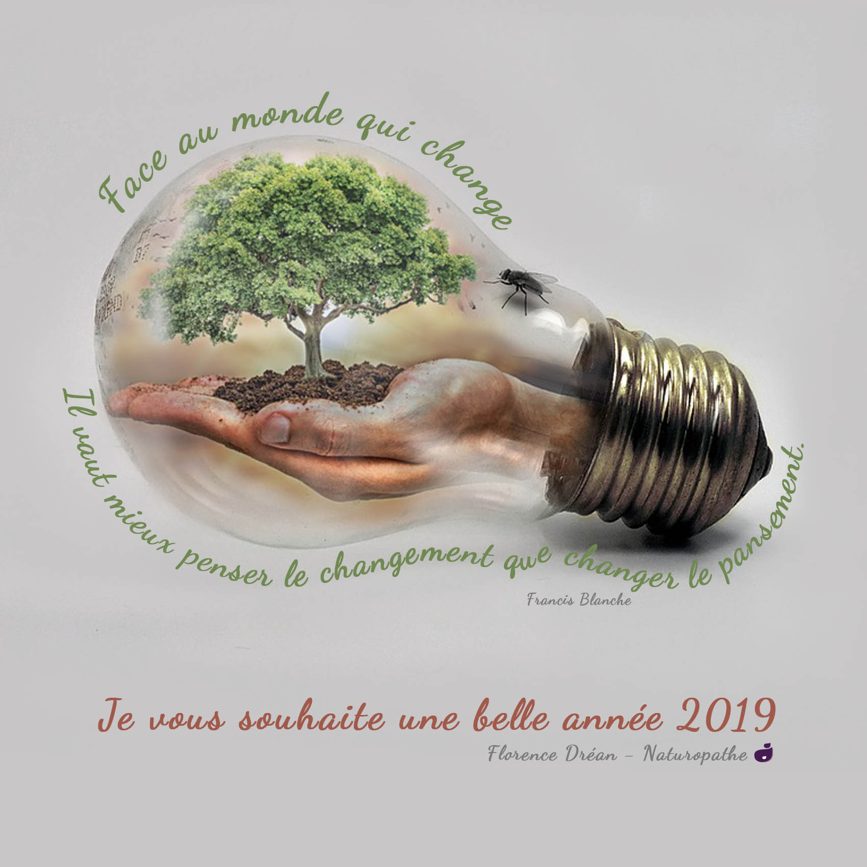 Carte-de-voeux-2019-Florence-Dréan-naturopathe-Saint-Genis-Laval